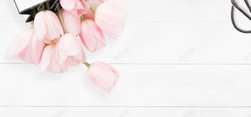 花卉背景图jpg设计背景_新图网 https://ixintu.com 花卉 粉色 郁金香 白色 海报banner 摄影 风景