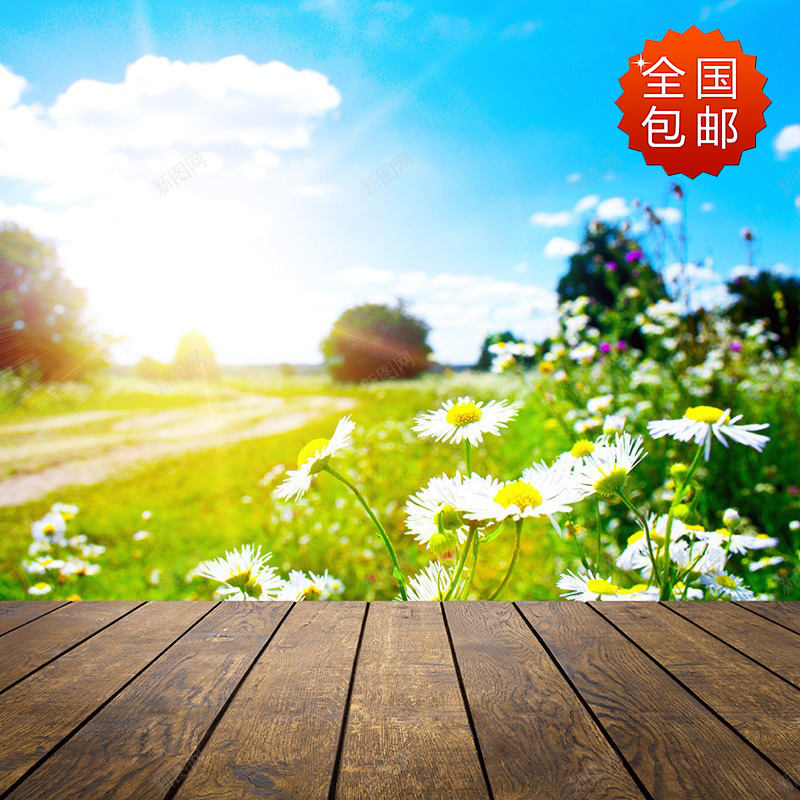 简约唯美背景psd设计背景_新图网 https://ixintu.com 简约 唯美 背景 花朵 木质地板 太阳 主图 文艺 小清新