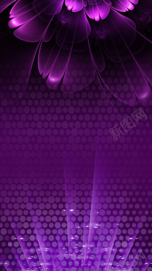 紫色渐变花纹科技手机端H5背景素材背景