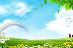 各色花朵草原上各色花朵盛开的彩虹高清图片