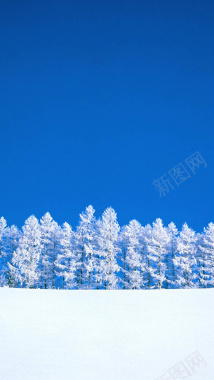 蓝天雪景H5背景背景