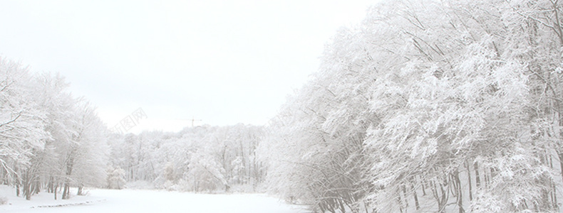 冬季素材背景psd设计背景_新图网 https://ixintu.com 详情页海报 下雪 树林 浪漫 雪景 梦幻