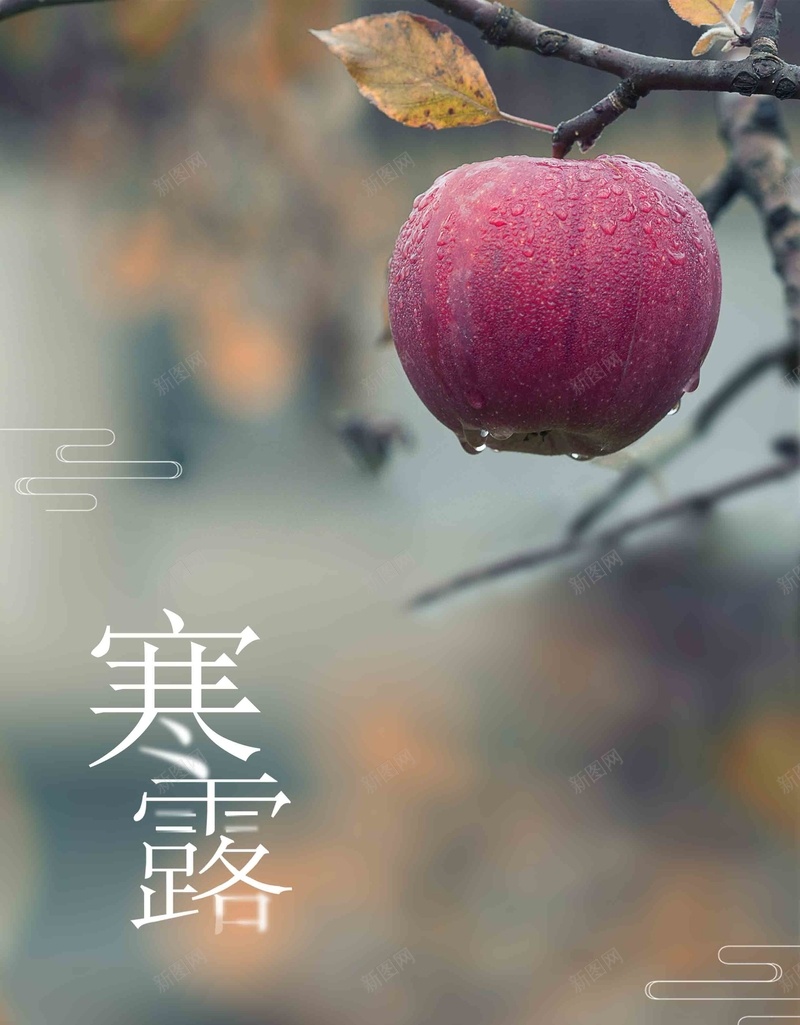 简约唯美二十四节气之寒露节气jpg设计背景_新图网 https://ixintu.com 寒露节气 唯美 寒露 简约 节气 24节气 二十四节气 传统节气 农历寒露 露水 露珠 霜降 立冬