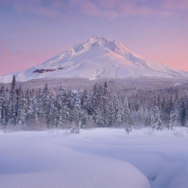 冰山雪地丛林背景背景