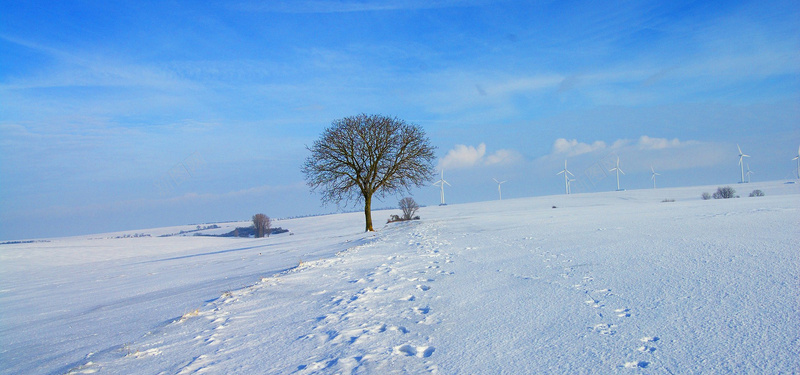 蓝色的冬天jpg设计背景_新图网 https://ixintu.com 雪 冬天 冰 冷 白 蓝色 天空 步行 小食 树 痕迹 圣诞节 海报banner 摄影 风景