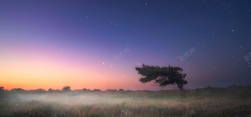 平原夜空背景图jpg设计背景_新图网 https://ixintu.com 星空 草原 树木 光晕 旅游 海报banner 星云 星海 星际 摄影 风景