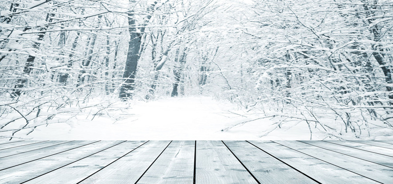 冬季树林里的雪花背景jpg设计背景_新图网 https://ixintu.com 冬季 树林 雪花 木板 纹理 开心 高兴 海报banner 质感