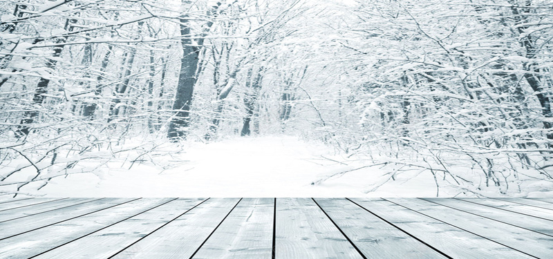 冬季树林里的雪花背景jpg设计背景_新图网 https://ixintu.com 冬季 树林 雪花 木板 纹理 开心 高兴 海报banner 质感