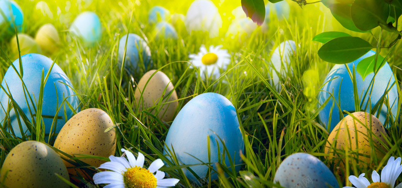 复活节彩蛋背景