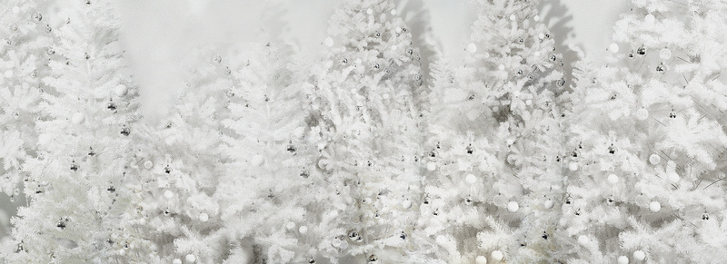 冬季银装素裹背景背景