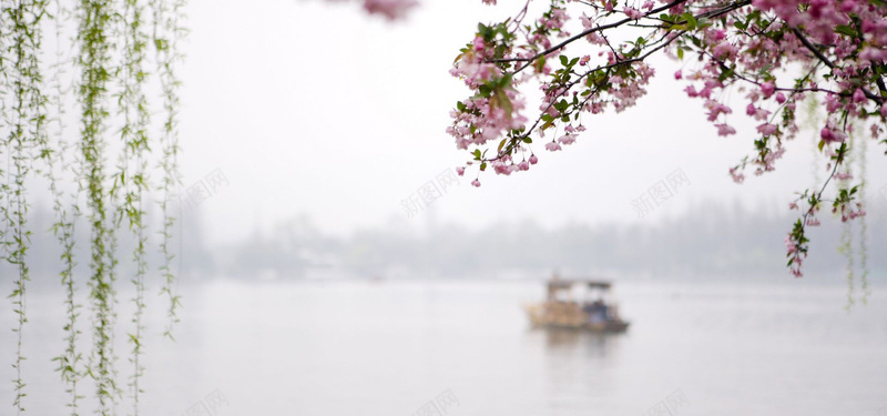 江南水乡唯美风格背景jpg设计背景_新图网 https://ixintu.com 唯美 柳叶 桃花 水乡 江南 朦胧 海报banner 文艺 小清新 简约