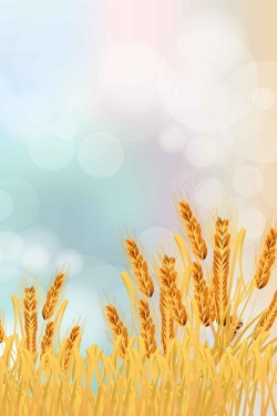小麦种植风景小麦简约矢量清新背景高清图片