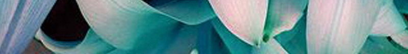 美术展海报背景素材psd设计背景_新图网 https://ixintu.com 展会 展览 海报 艺术 花朵 美术展海报图片下载 秩序的边界 渐变