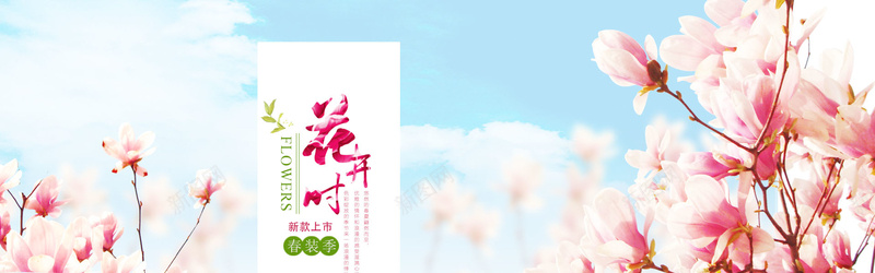 花开时jpg设计背景_新图网 https://ixintu.com 春季新品 樱花 海报banner
