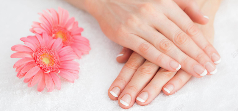 美甲jpg设计背景_新图网 https://ixintu.com 海报banner 白色 花朵 手 法式指甲
