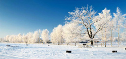雪路冬季雪景高清图片