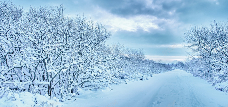 雪地jpg设计背景_新图网 https://ixintu.com 雪地 树木 冬季 男装 女装 户外 背景 海报banner 摄影 风景