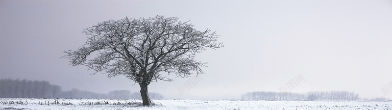 秋冬季节雪景banner海报背景