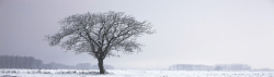 季节性背景秋冬季节雪景banner海报高清图片