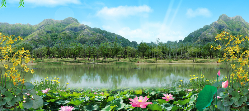 风景背景psd设计背景_新图网 https://ixintu.com 海报banner 青山绿水 唯美 大气 荷花 文艺 小清新 简约
