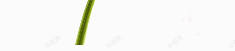 白色背景花朵你好三月宣传海报psd设计背景_新图网 https://ixintu.com 3月 三月 励志海报 春季 花朵 励志短语 花卉 鲜花 春天来了