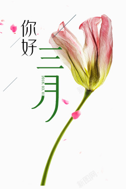 励志短语白色背景花朵你好三月宣传海报高清图片