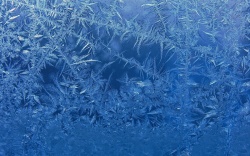 冬季ppt雪片霜花高清图片
