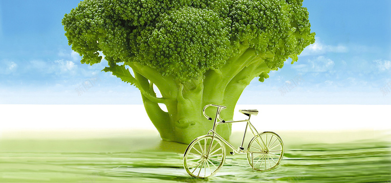西兰花jpg设计背景_新图网 https://ixintu.com 蔬菜 西兰花 植物园 春天 绿色 海报banner 摄影 风景