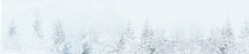 创意24二十四节气小雪公益jpg设计背景_新图网 https://ixintu.com 二十四节气 24节气 冬季 小雪 雪 冬天 雪景