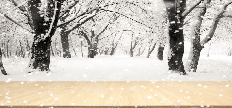 树林前面的木板素材jpg设计背景_新图网 https://ixintu.com 冬季 寒冷 木板 树林 白色 开心 快乐 海报banner 质感 纹理