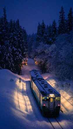 矢量冬季夜景行驶在树林里的火车高清图片