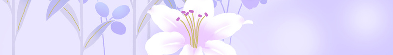 紫色优雅花朵背景素材jpg设计背景_新图网 https://ixintu.com 优雅 唯美 植物 紫色 花朵 小花 清新 浪漫 婚庆 海报 广告 背景