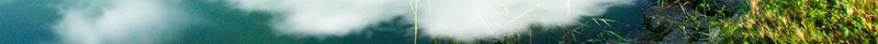 唯美湖边雅居地产开盘背景素材jpg设计背景_新图网 https://ixintu.com 房地产 粉红色 桃花 江景 湖边 生态湖边 街灯 房产 售房 开盘 盛大 浅色 大气 海报 设计