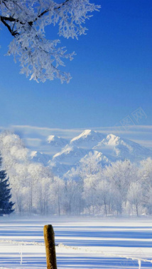 冬季的雪超清H5背景背景