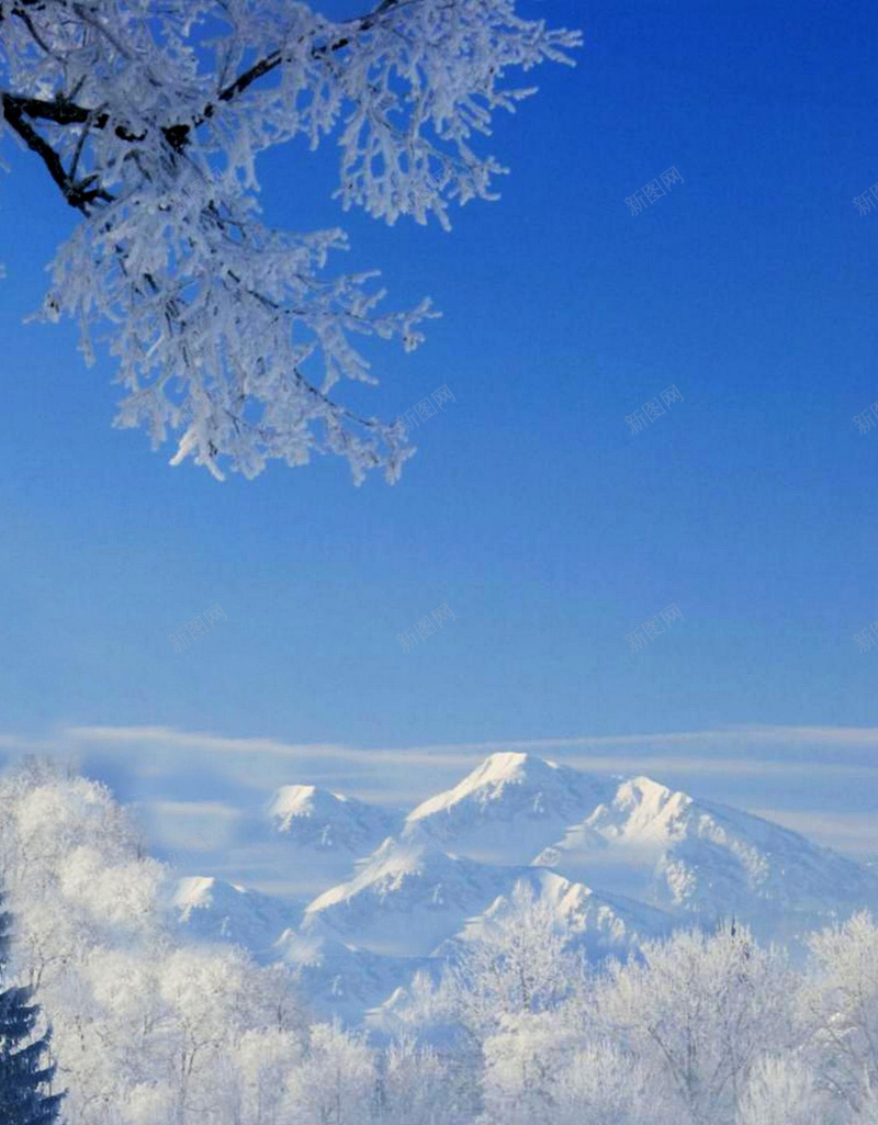 冬季的雪超清H5背景jpg设计背景_新图网 https://ixintu.com 天空 白色 雪山 树木 雪地 H5 h5 摄影 风景
