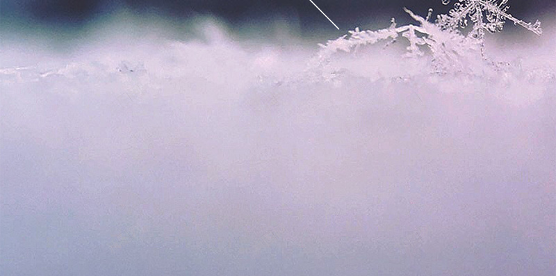 清新简约你好这个冬天诗意文艺小清新海报psd设计背景_新图网 https://ixintu.com 你好 冬天 唯美 清新 简约 冬季 你好冬天 冬天你好 雪花 雪 冰雪 冬季风景 文艺 诗意 小清新