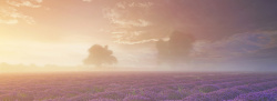 紫色朝霞紫色田园背景高清图片