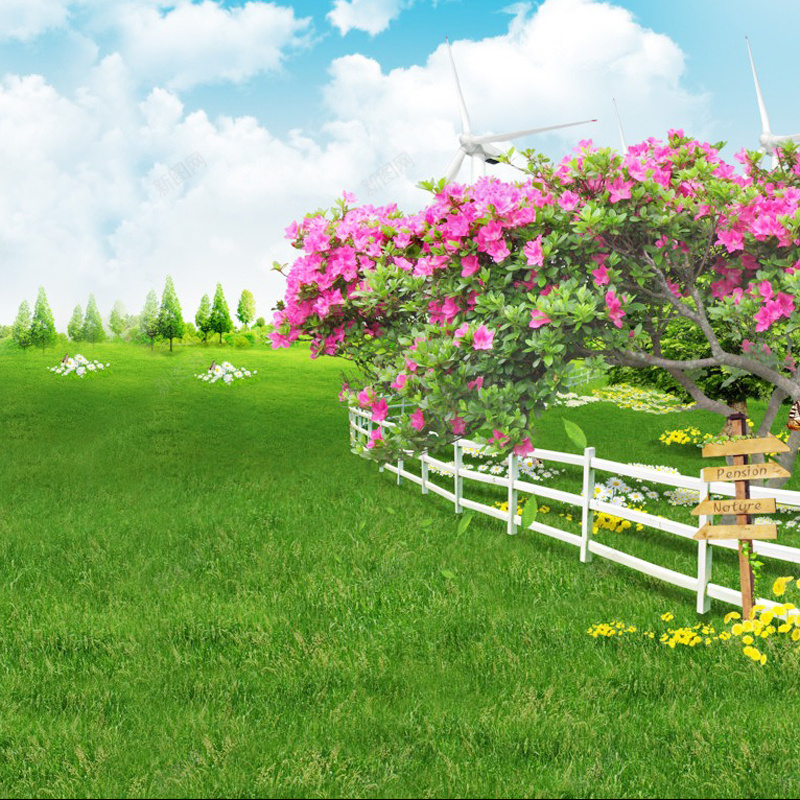 鲜花和草地jpg设计背景_新图网 https://ixintu.com 鲜花 草地 主图 摄影 风景