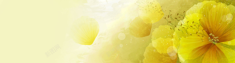 高清炫彩花卉banner背景jpg设计背景_新图网 https://ixintu.com 唯美 植物 素材 色彩 鲜花 海报banner 其他
