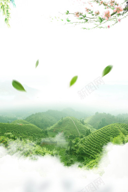 绿色茶叶背景素材背景