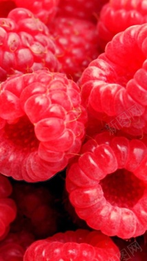 野草莓水果H5背景背景