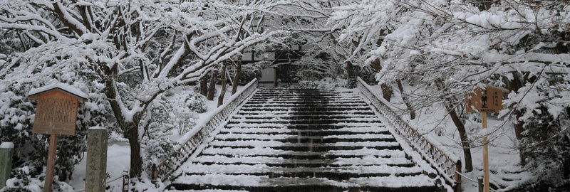 唯美雪场冬季阶梯树枝背景jpg设计背景_新图网 https://ixintu.com 雪场 唯美 简约 摄影 阶梯 冬季 海报banner 风景