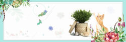 桌面植物蓝色小清新花朵猫咪绿植多肉banner高清图片