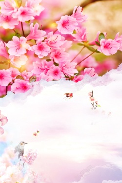杜鹃花季唯美杜鹃花春季赏花背景素材高清图片
