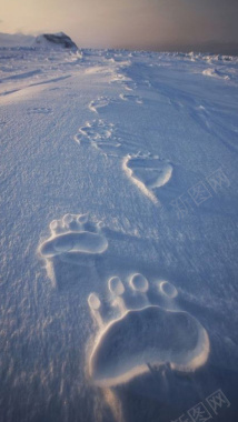 雪地中的脚印背景