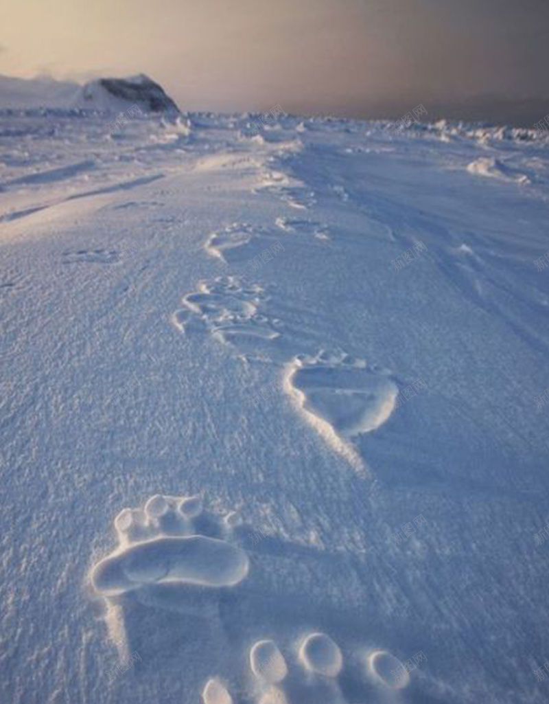 雪地中的脚印jpg设计背景_新图网 https://ixintu.com 雪 脚印 地 摄影 风景