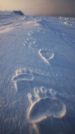 雪地中的脚印雪地中的脚印高清图片