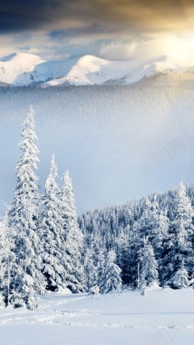 冬季雪景高清H5背景背景