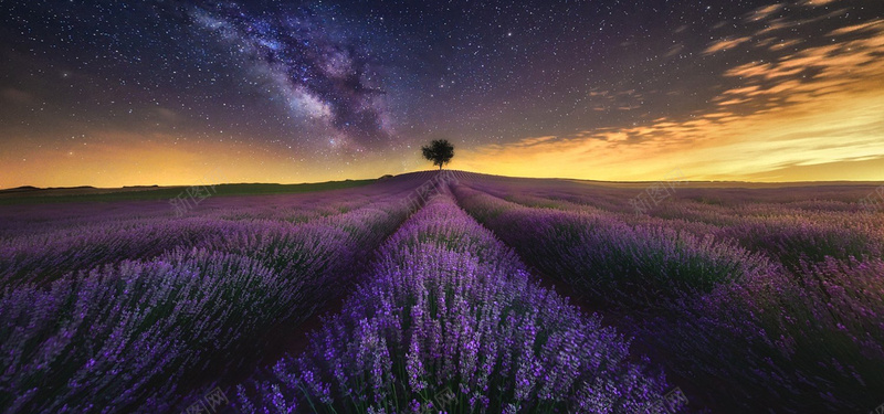 薰衣草花海女装唯美bannerjpg设计背景_新图网 https://ixintu.com 薰衣草 花海 女装 唯美 风景 海报banner 摄影