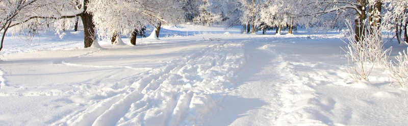 冬季雪景背景jpg设计背景_新图网 https://ixintu.com 冬季 雪景 白雪 寒冷 海报banner 摄影 风景